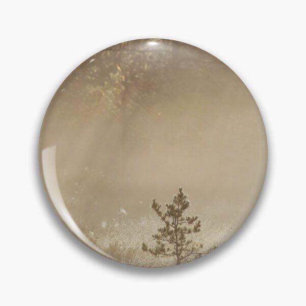 Item preview, 8.8.2020: Young Pine tree at Marsh designed and sold by Petri Volanen.
