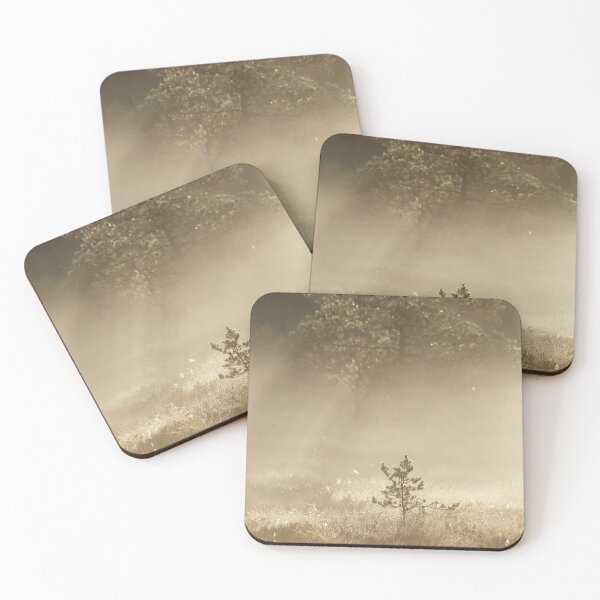 Item preview, 8.8.2020: Young Pine tree at Marsh designed and sold by Petri Volanen.