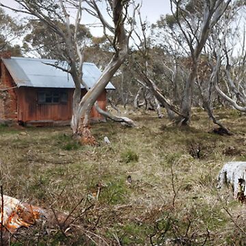Artwork thumbnail, Off the Beaten Track - Dinner Plain, Victoria, Australia. by Sean Farrow
