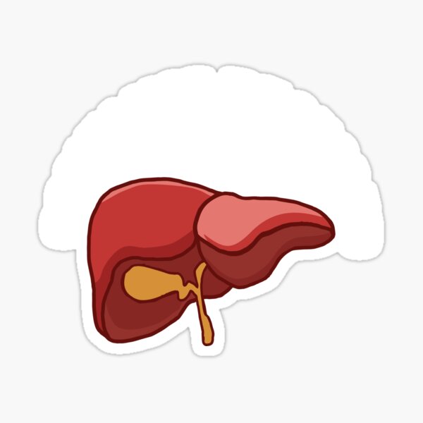 Liver Transplant Stickers Redbubble