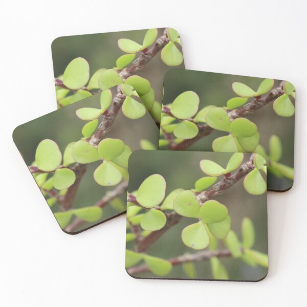 Item preview, Living Gift designed and sold by Geoff Treagus.
