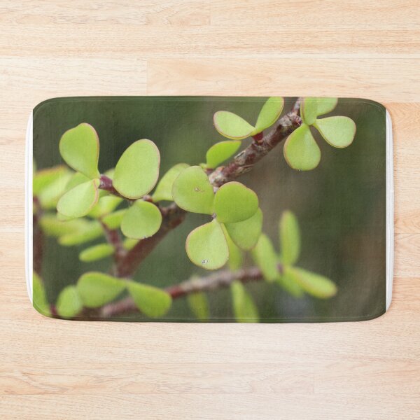 Item preview, Living Gift designed and sold by Geoff Treagus.
