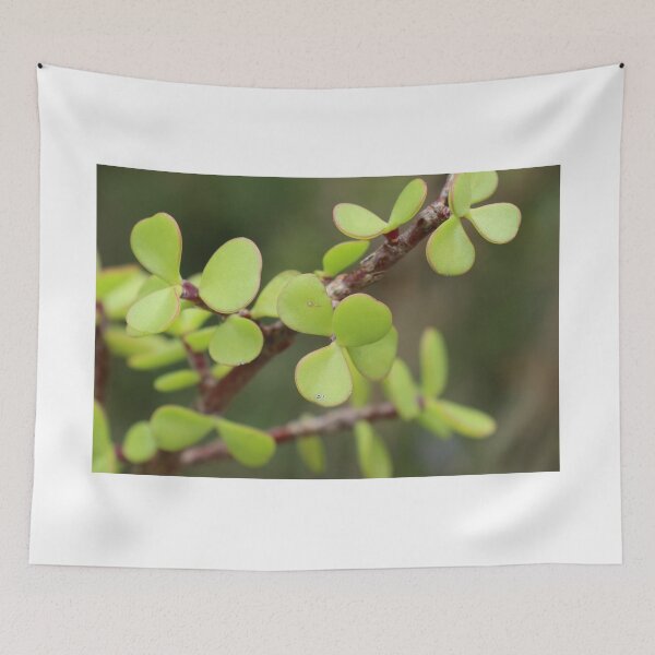 Item preview, Living Gift designed and sold by Geoff Treagus.