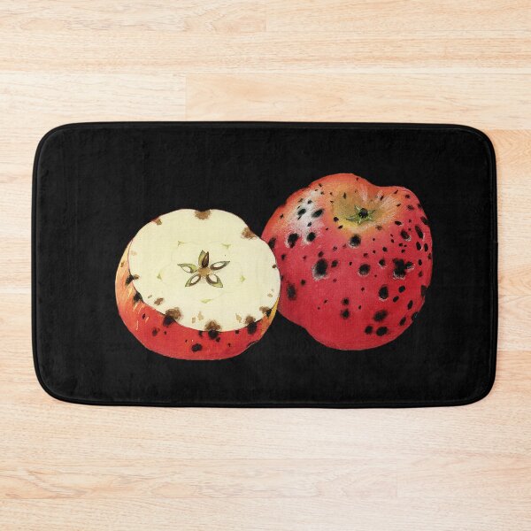 Item preview, Bitter pit of Apple (cut-away) designed and sold by BiosecurityColl.