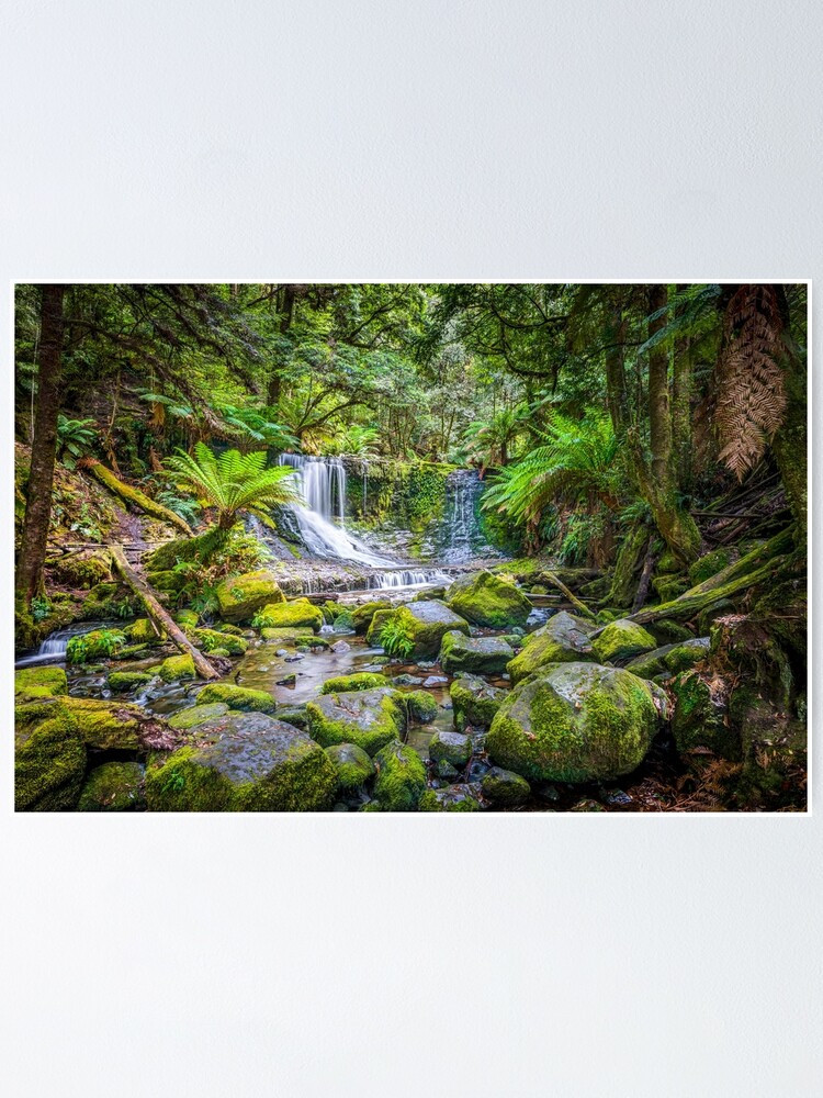 Alternate view of Lady Barron Falls Poster