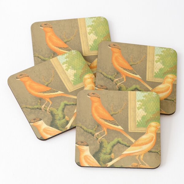 Item preview, Cassell's Canaries And Cage Birds Art Prints Old Painting Antique Drawing designed and sold by halleinstyle.