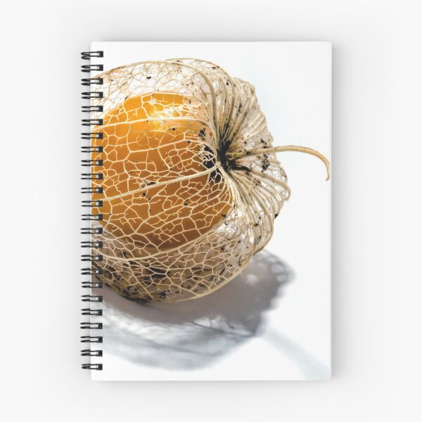 Item preview, Orange in the Light designed and sold by Ladyshark.