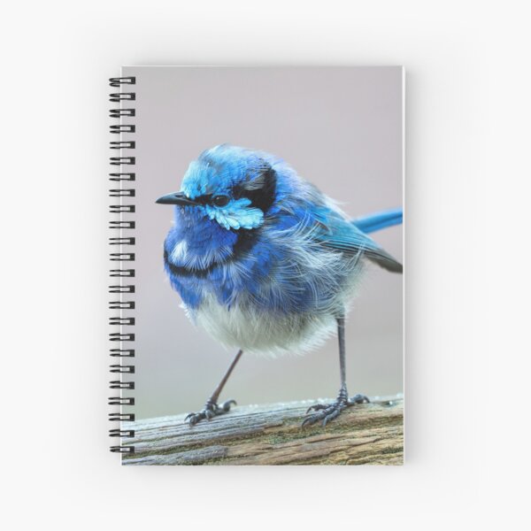 Item preview, Pretty Blue Wren designed and sold by Ladyshark.