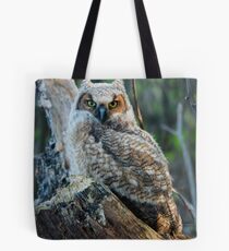 Horned Owl Tote Bag