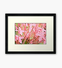 You have snow I have flowers...Got Featured Work Framed Print
