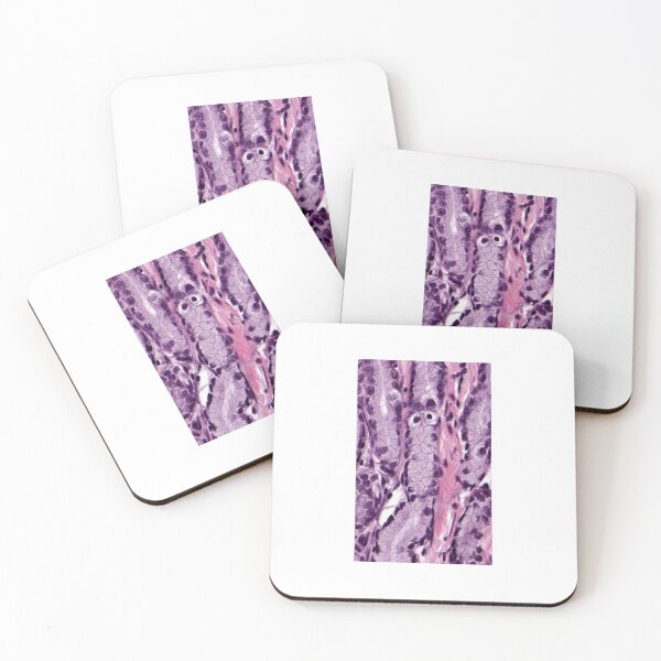 Item preview, Glandy the Pyloric gland designed and sold by Love Histology.
