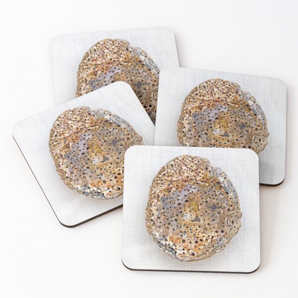 Item preview, Ancient Shell designed and sold by bernwebb.