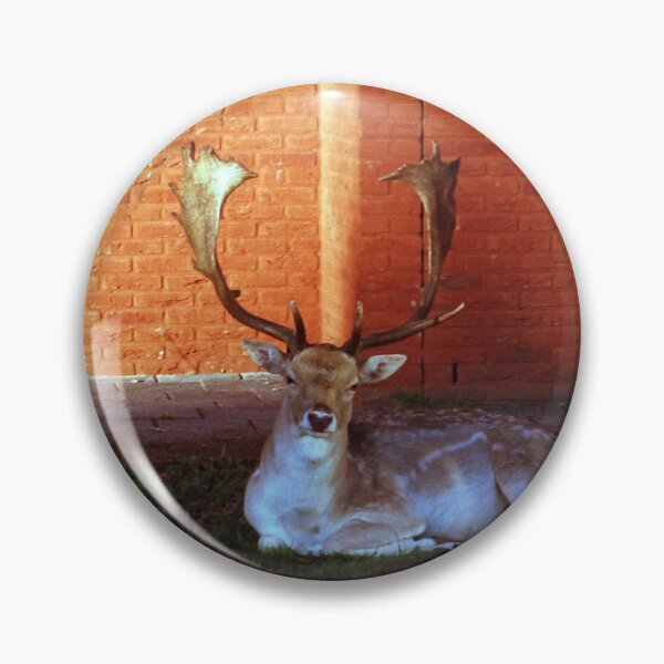 Item preview, Deer in the village  designed and sold by Debjaphotography.