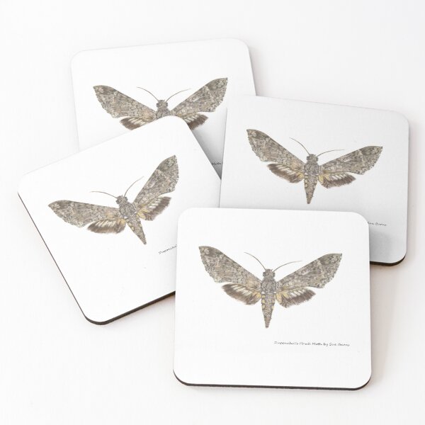 Item preview, Duponchel's Hawk Moth designed and sold by Sueburnsinsects.