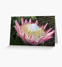 A BEAUTIFUL PINCUSHION! Greeting Card