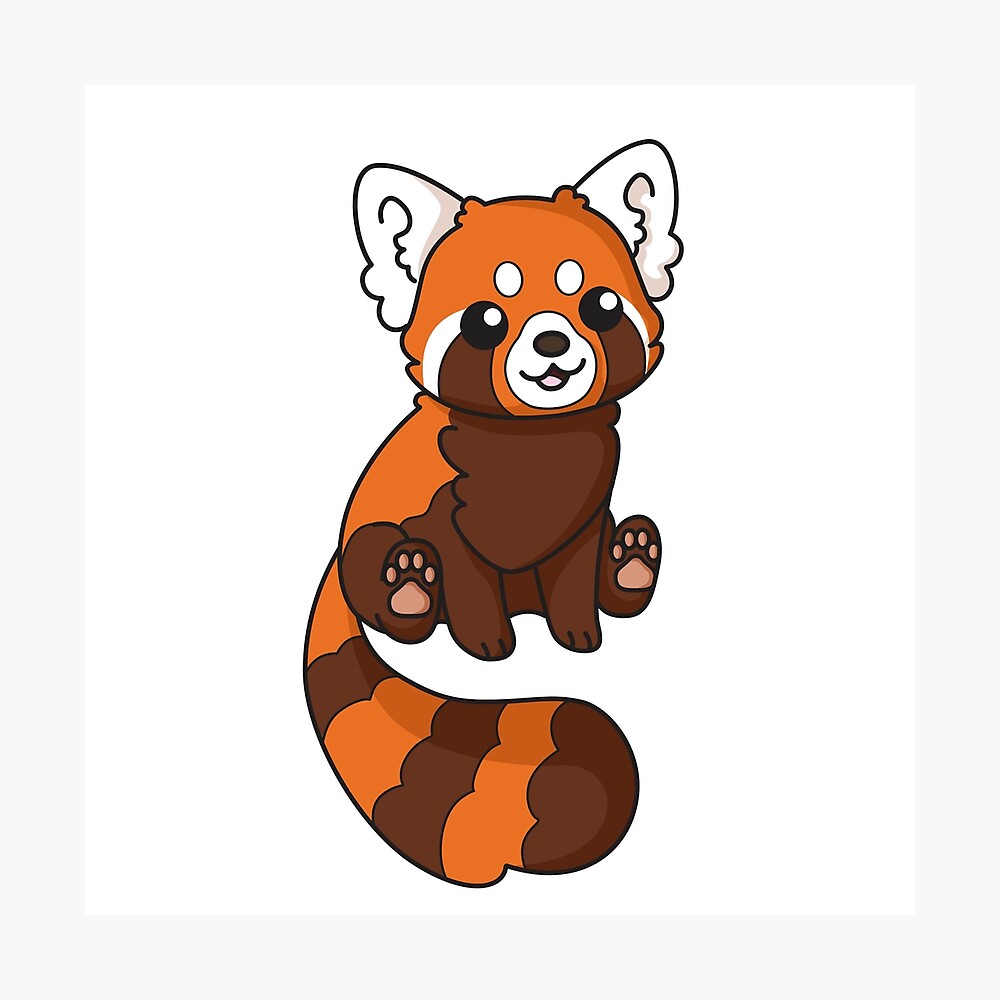 Cute Red Panda Poster By Emhurst10 Redbubble