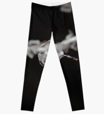 Illusion Leggings