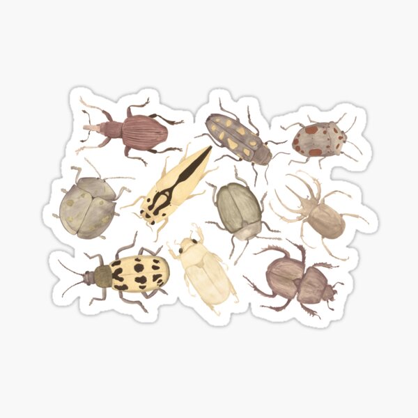 Item preview, beetles designed and sold by Kaja Purwin.