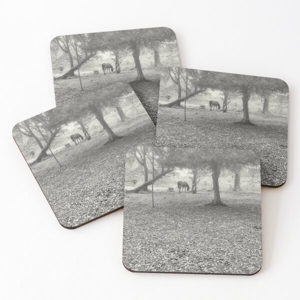 Item preview, New forest pony designed and sold by bernwebb.
