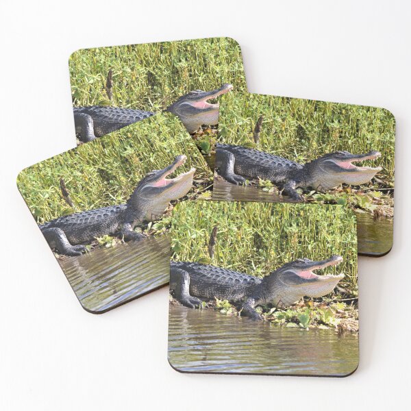 Item preview, Full View American Alligator  designed and sold by Warren  Thompson.
