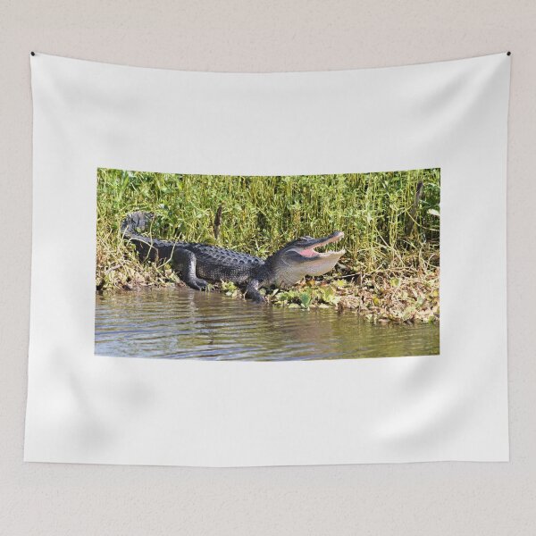 Item preview, Full View American Alligator  designed and sold by Warren  Thompson.
