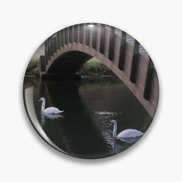 Item preview, Swans under Bridge designed and sold by Debjaphotography.
