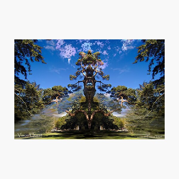 Vision Quest Photographic Print