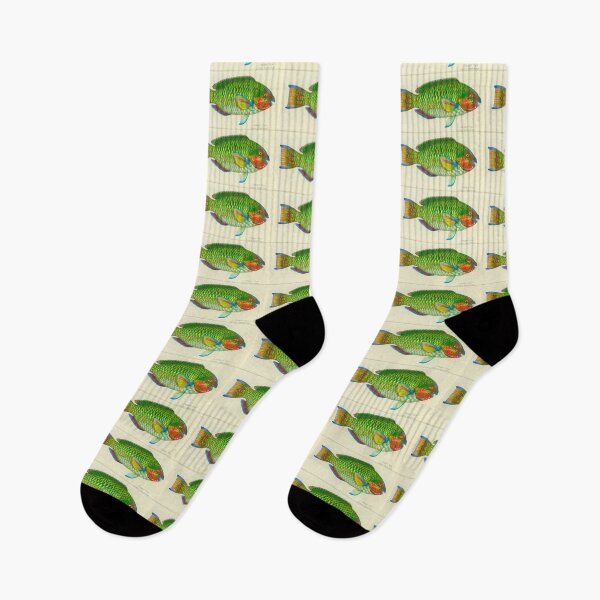 Item preview, Parrot fish (Scarus fasciatus) designed and sold by anmm.