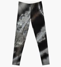 The Illusion Leggings
