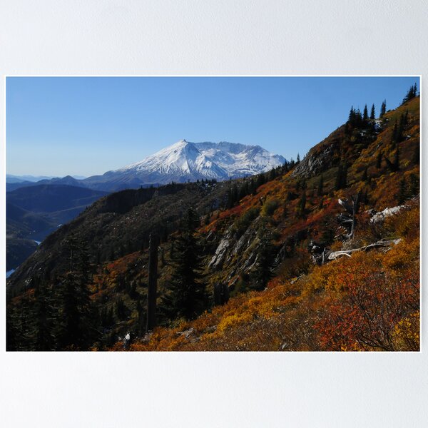 Mt St Helens 9440_101913 Poster