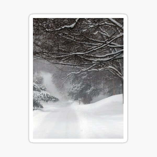 Item preview, Snowy Road designed and sold by Frankie Cat Photography.
