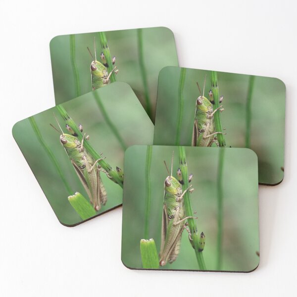 Item preview, Lesser Marsh Grasshopper designed and sold by cuprum.