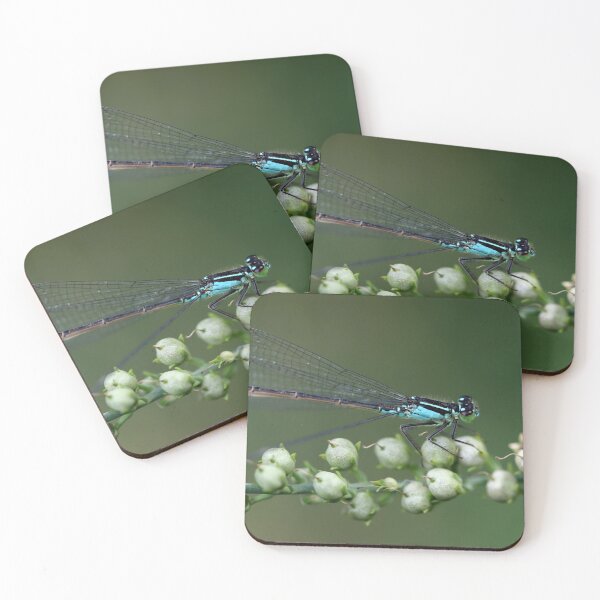 Item preview, Damselfly designed and sold by cuprum.