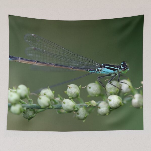 Item preview, Damselfly designed and sold by cuprum.
