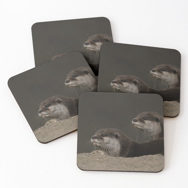 Item preview, Otter Brothers designed and sold by rawshutterbug.