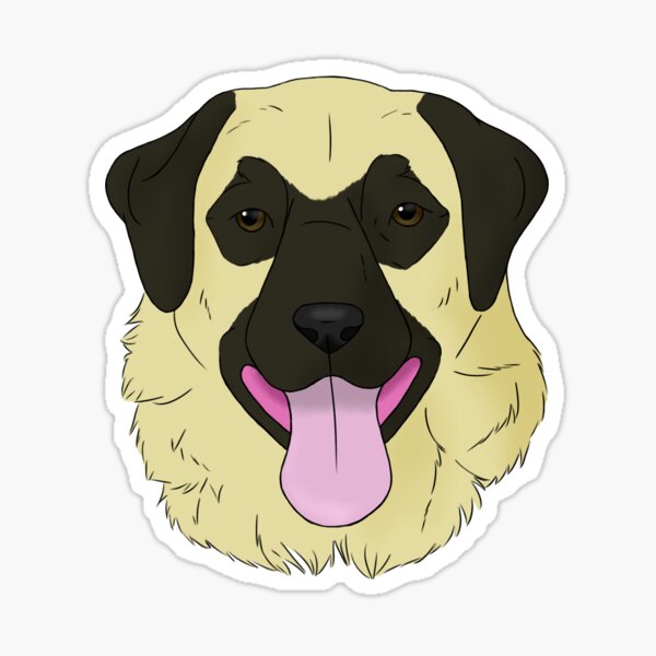 Artikel-Vorschau von Anatolischer Schäferhund, designt und verkauft von Cynthiaetal.