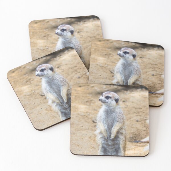 Item preview, Meerkat designed and sold by JoshdorArt.