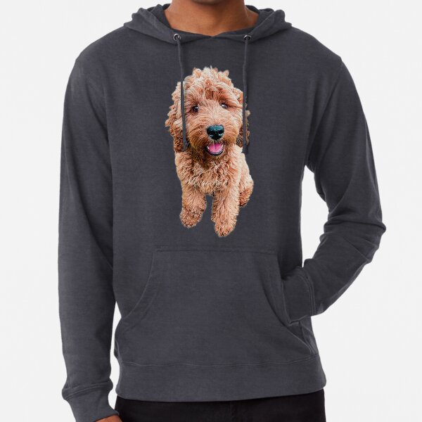 labradoodle sweatshirts