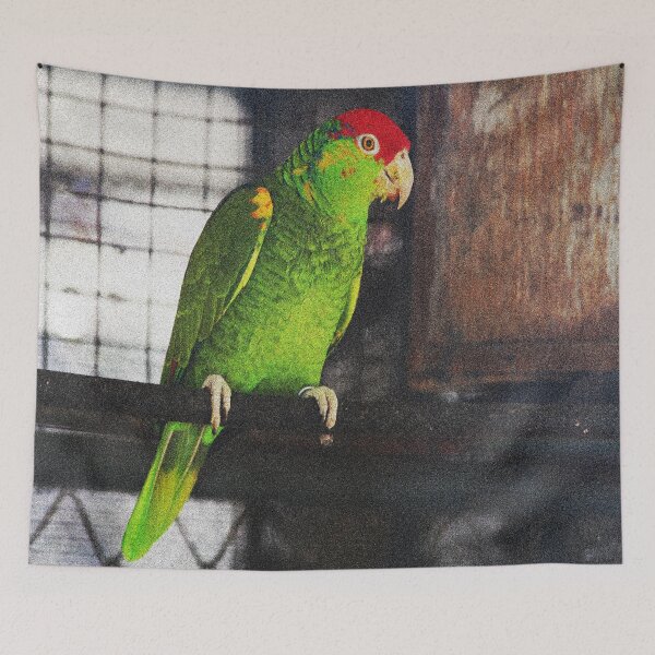 Item preview, Green and Red Budgie designed and sold by XCEEDTRANSITION.