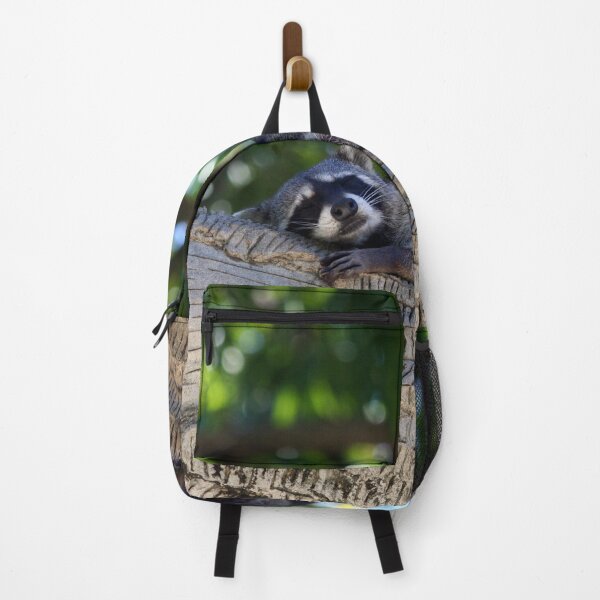 Item preview, Racoon Sleeping designed and sold by XCEEDTRANSITION.