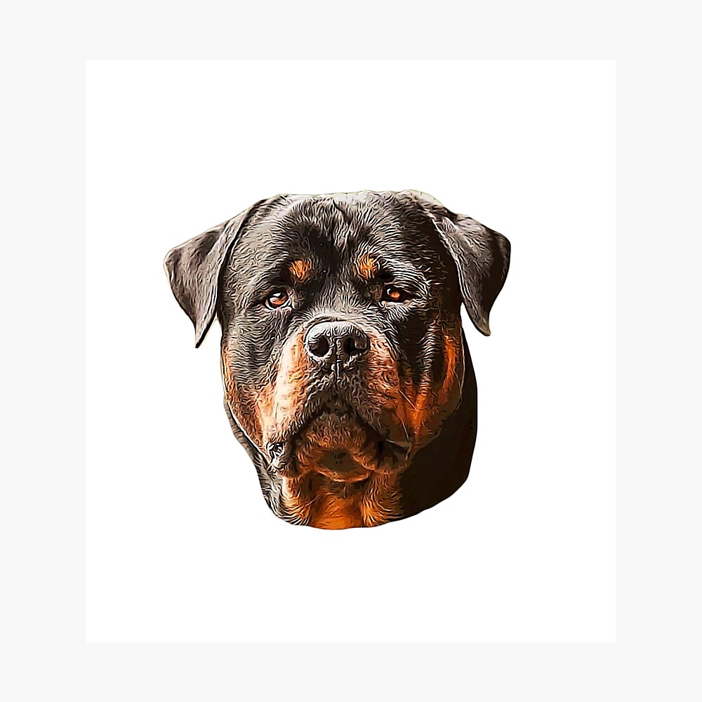 Rottweiler Stunning Dog Head Art