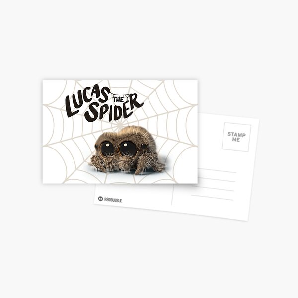 Lucas the spider Postcard
