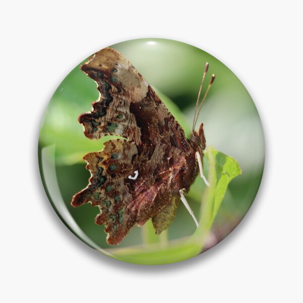 Comma Pin