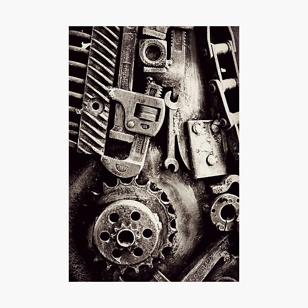 Mechanisms Photographic Print