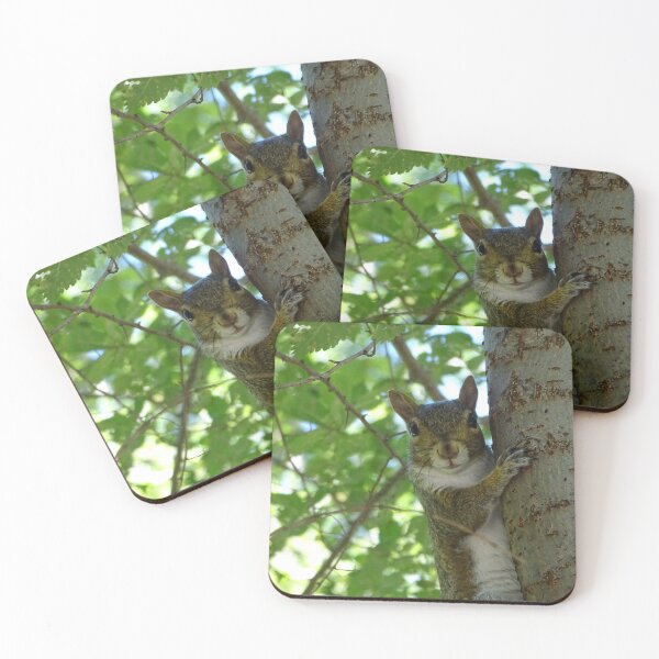 Item preview, Curious squirrel designed and sold by Alcphoto13.