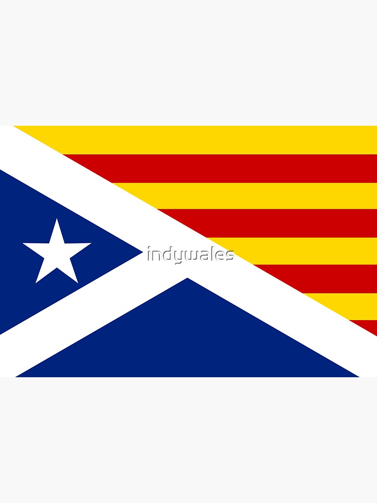 Combined Scottish and Catalan Estelada Flag, Estelada Blava, Independence by indywales