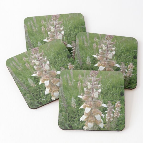 Item preview,    Wild Orchid designed and sold by Ana Belaj.