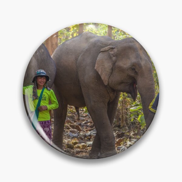 Item preview, Laos. Mandalao Elephant Conservation. Elefantes con sus Guardianes. designed and sold by vadim19.