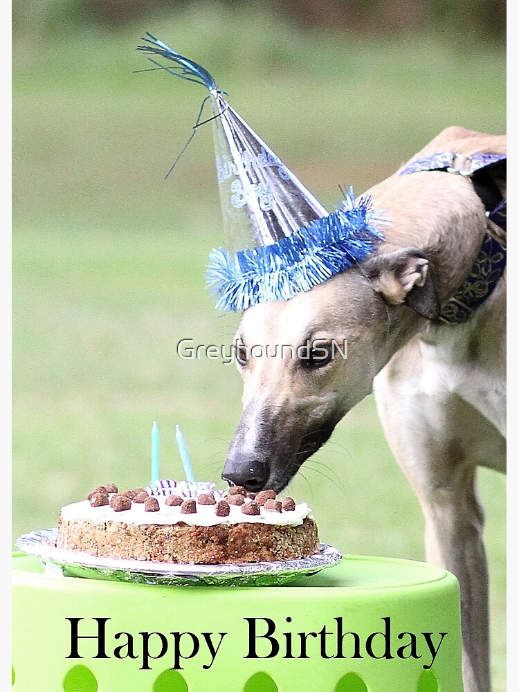 Carte De Vœux Bon Anniversaire Par Greyhoundsn Redbubble