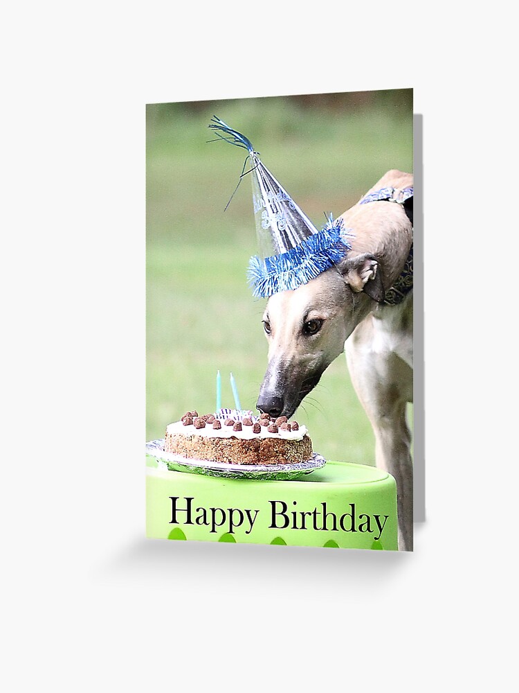 Carte De Vœux Bon Anniversaire Par Greyhoundsn Redbubble